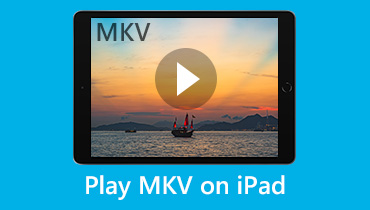 Spielen Sie MKV-Videodateien auf dem iPad ab