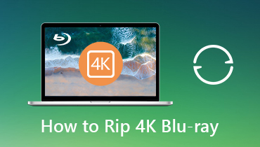 Wie rippe ich 4K Blu-rays auf PC / Mac für eine einfachere Wiedergabe?