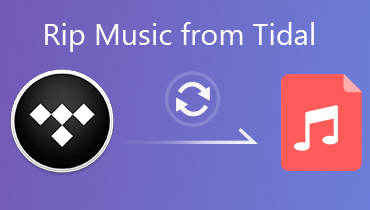 Tidal Musik downloaden: So einfach und schnell geht es