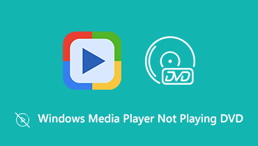 Windows Media Player spielt keine DVD ab
