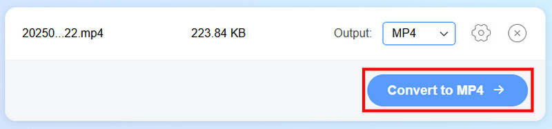 Konvertieren Download Video Vidmore