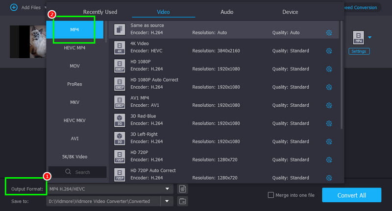 Ausgabeformat MP4 Vidmore