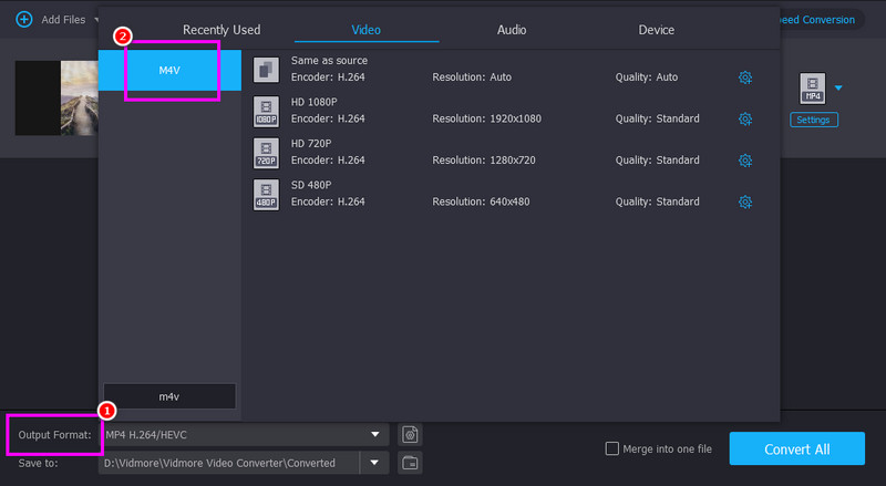 Ausgabeformat M4V Vidmore