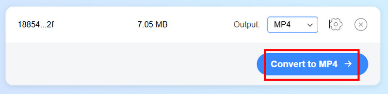 In MP4 konvertieren Vidmore