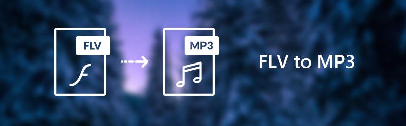 FLV zu MP3