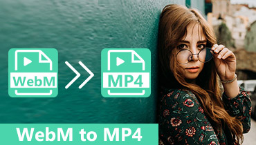 Konvertieren Sie WebM in MP4