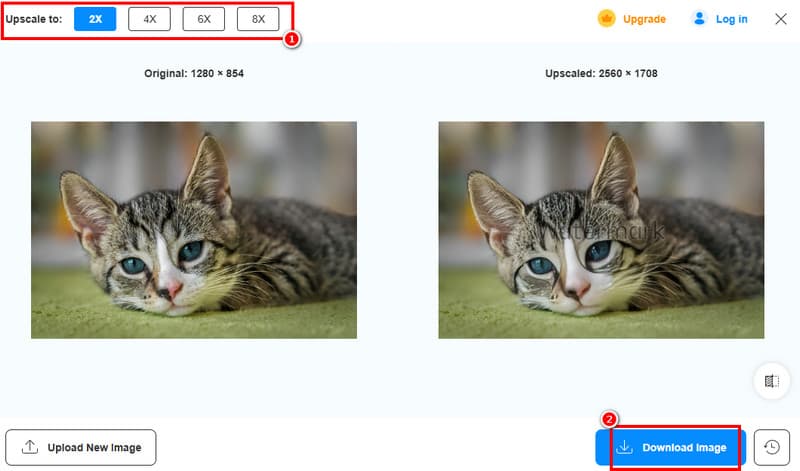 Bild herunterladen Vidmore
