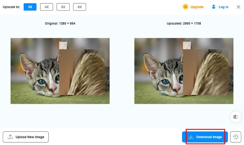 Bild herunterladen Vidmore
