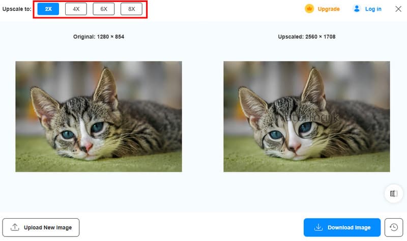 Auf-Option skalieren zu Vidmore