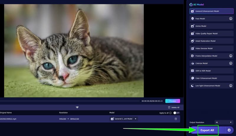 Alles exportieren Vidmore