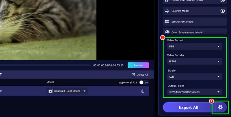 Einstellungen-Option Vidmore