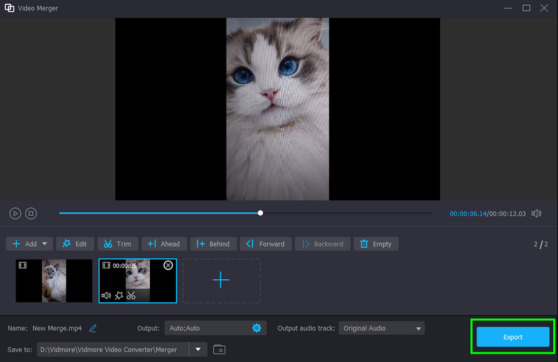 Export Button Vidmore