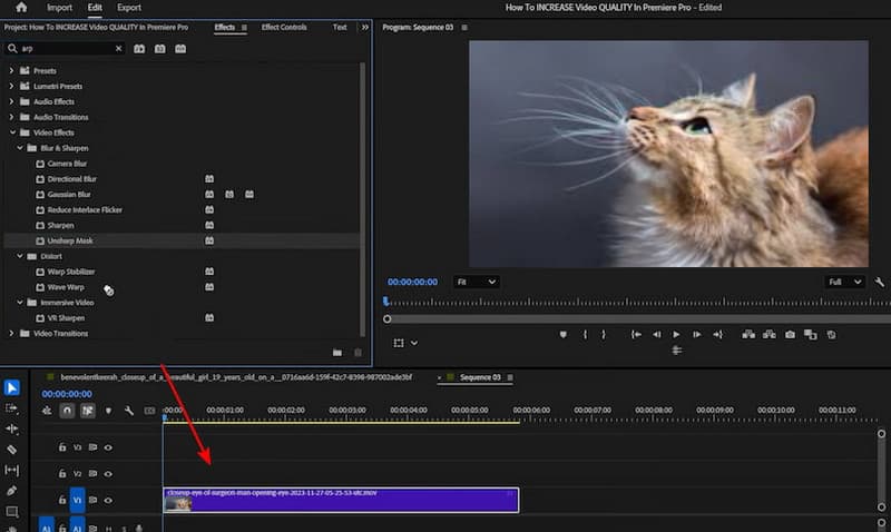 Adobe Premiere Video Enhancer