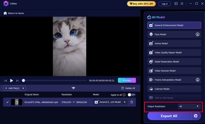 Option für Ausgabeauflösung Vidmore