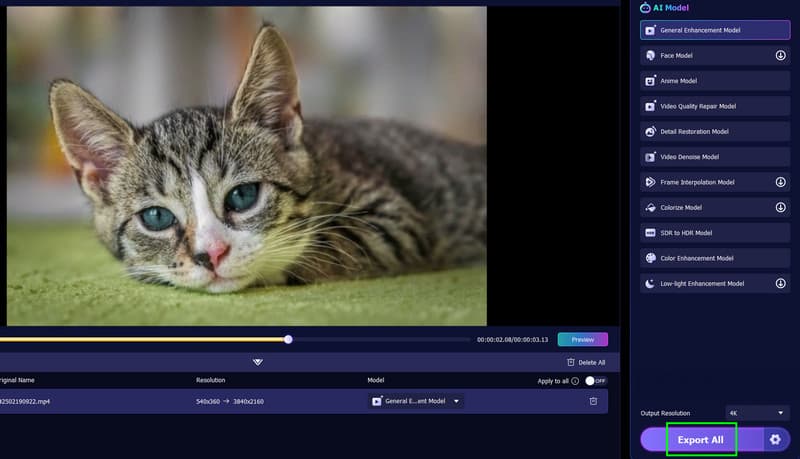 Alle exportieren‑Schaltfläche in Vidhex