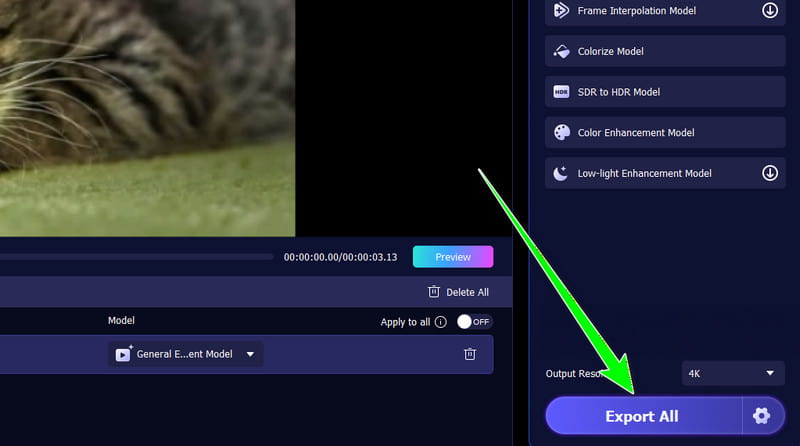 Alle konvertieren-Schaltfläche – Vidmore