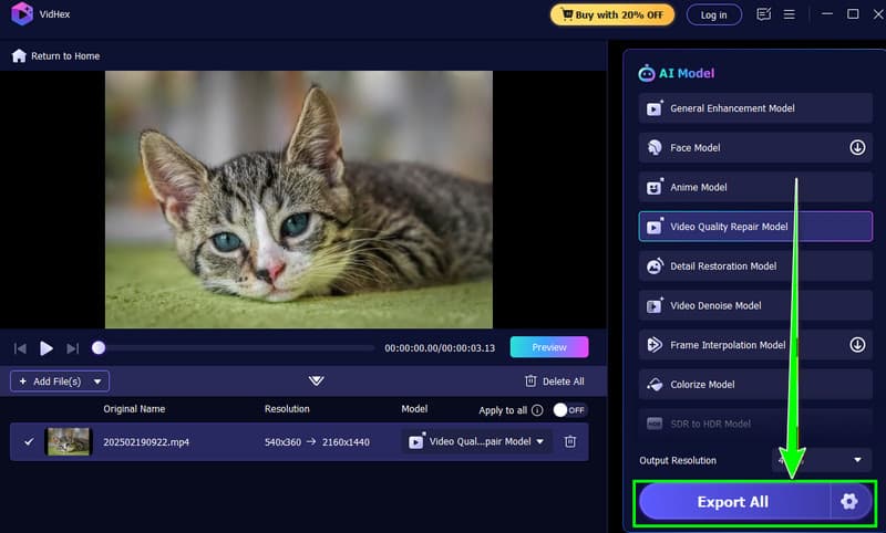 Video exportieren Vidmore