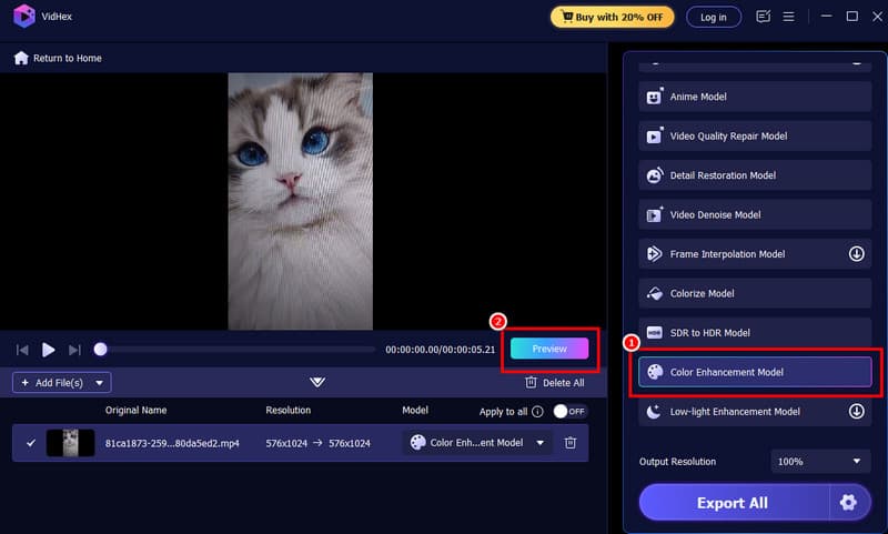Farbverbesserungsmodell Vidmore