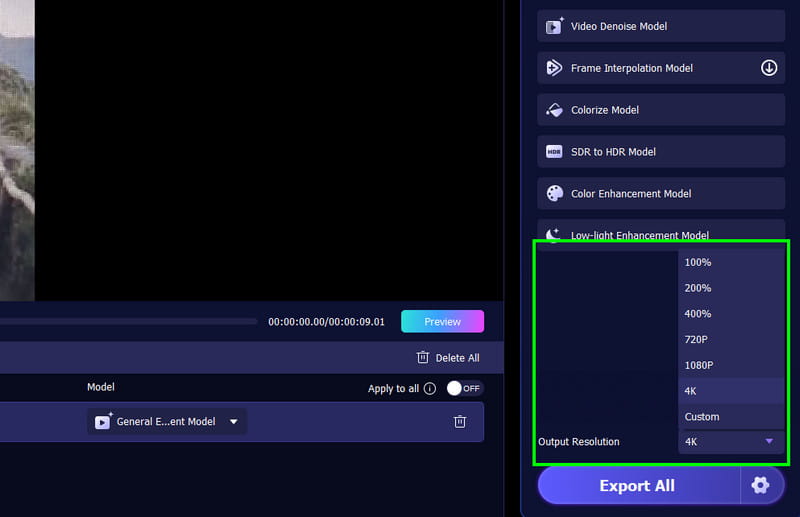 Ausgabeauflösung Vidmore