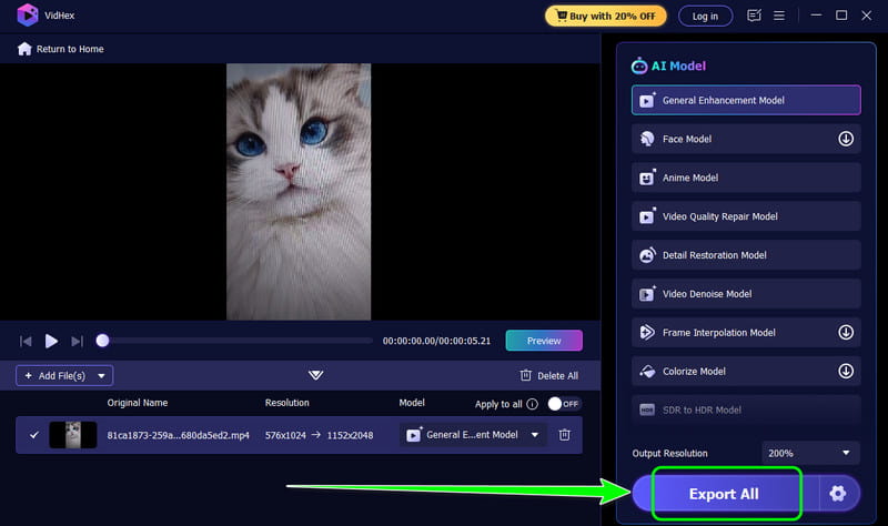 Alle exportieren-Schaltfläche Vidmore