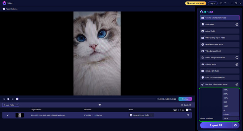 Ausgabeauflösung Qualität wählen Vidmore