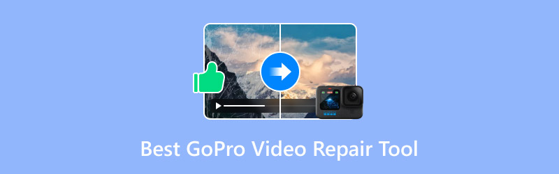 GoPro-Video-Reparaturtool
