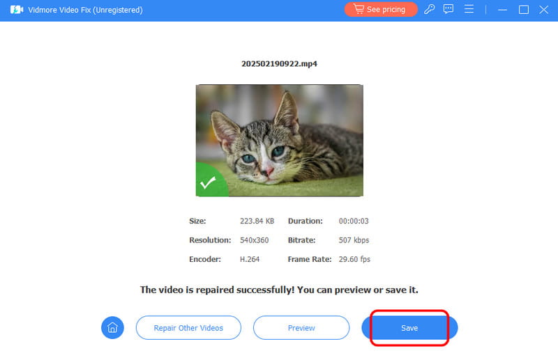 Speichern‑Schaltfläche Vidmore