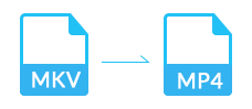 MKV zu MP4
