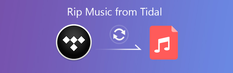 Rip Musik von Tidal