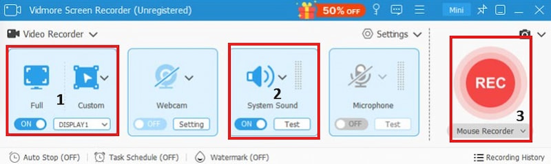 Vidmore Screen Recorder mit Audio