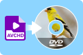 AVCHD MTS auf DVD brennen