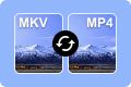MKV zu MP4 online