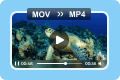 MOV online in MP4 konvertieren