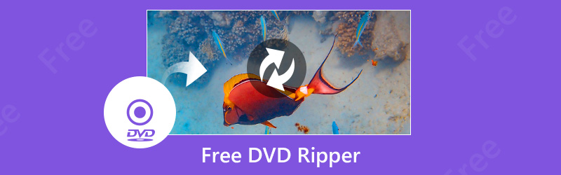 Kostenlose DVD-Ripper 