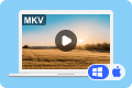 MKV-Player