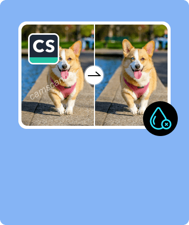 Camscanner-Wasserzeichen entfernen
