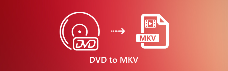 DVD zu MKV