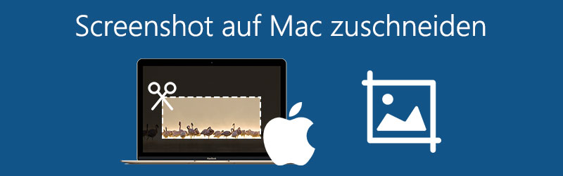 Screenshot auf Mac zuschneiden