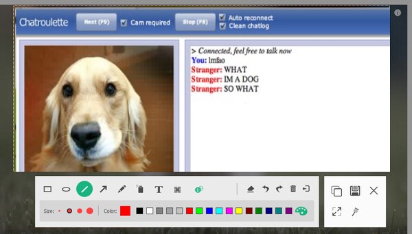 Chatroulette Screenshot bearbeiten