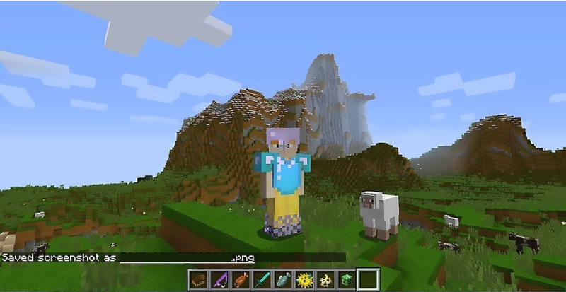 Screenshot in Minecraft