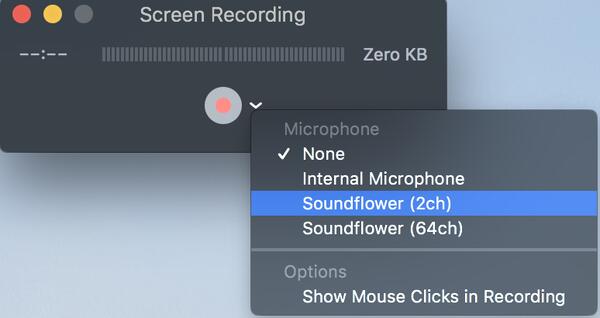 Soundflower auswählen