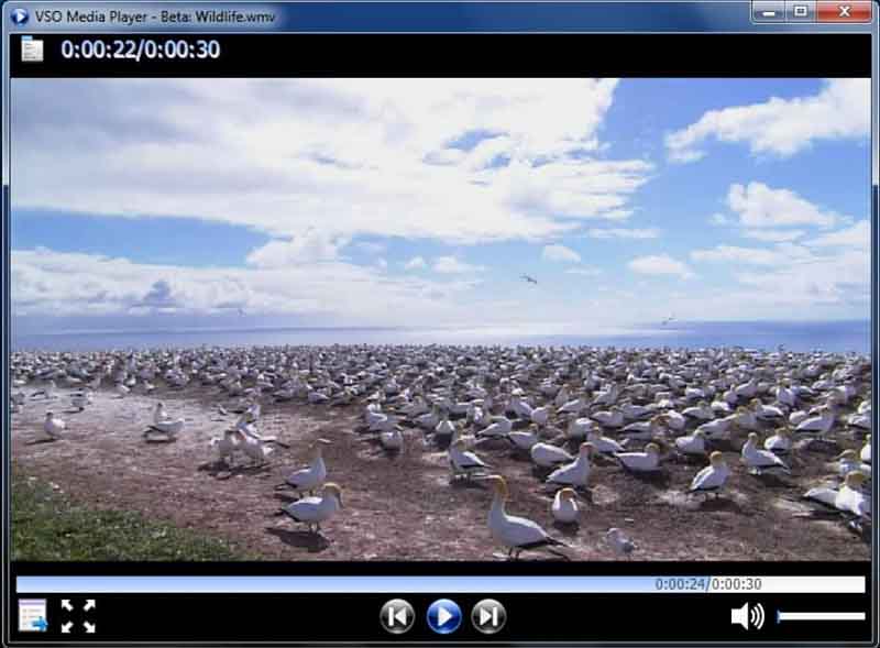 VSO Media Player