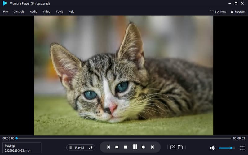 Video ansehen Vidmore